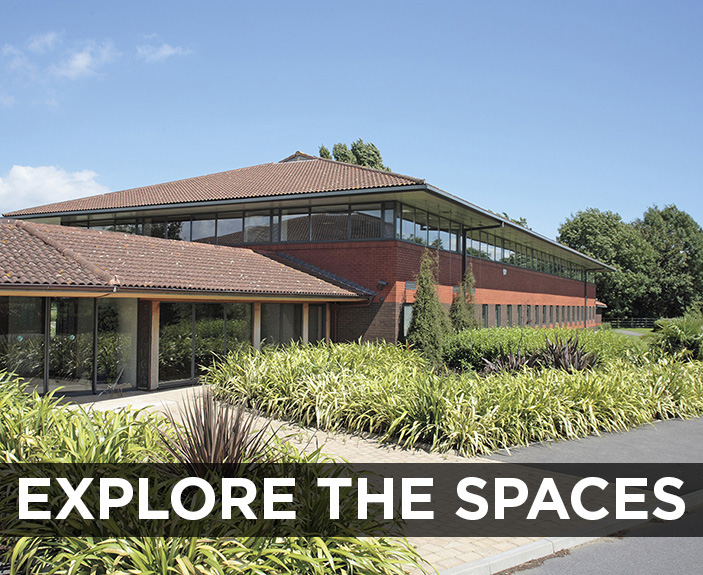 Whale Wharf breakout areas