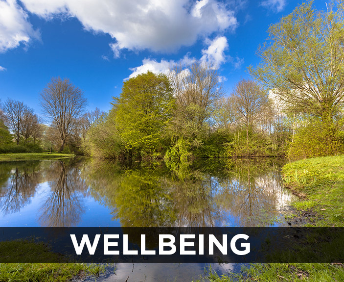 Whale Wharf co-working rise and fall desk 1