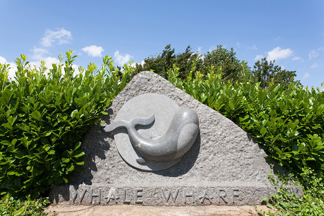 Whale Wharf serviced offices Bristol 02