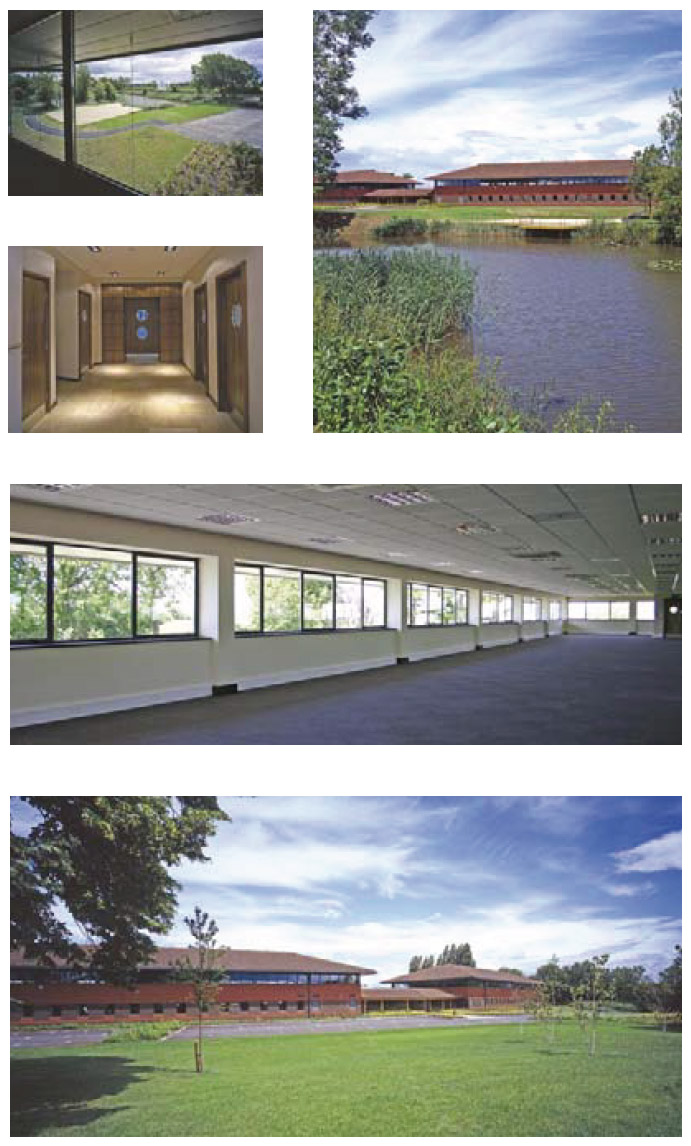 Beluga House montage